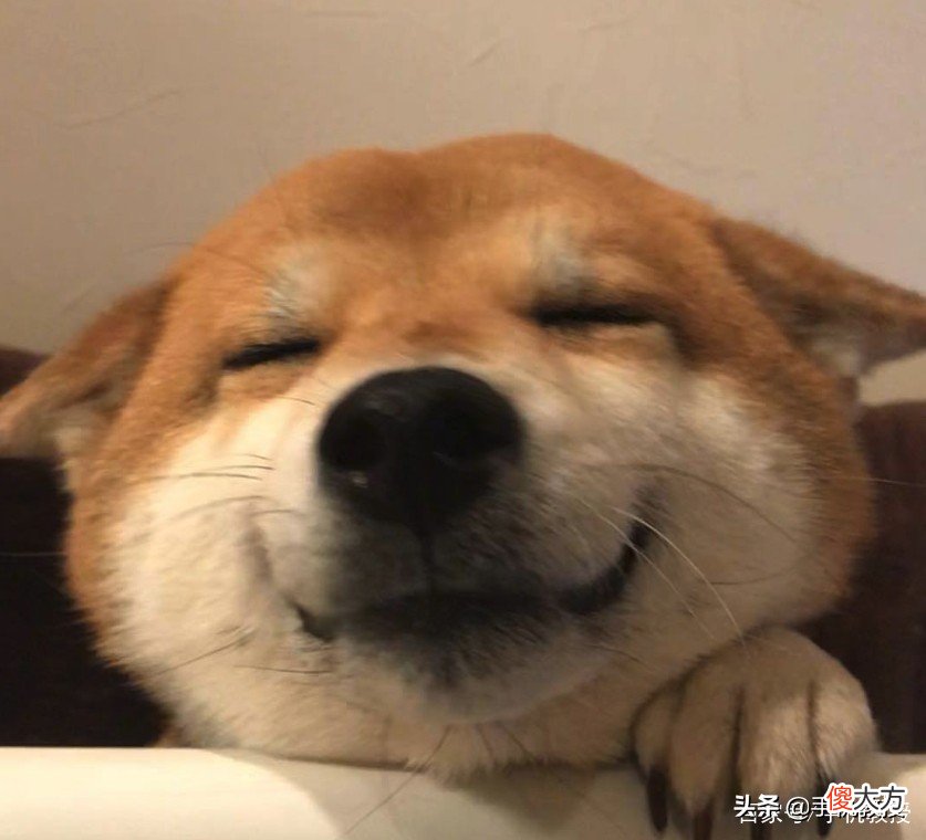 手机能不能整晚充电 手机能整晚充电吗