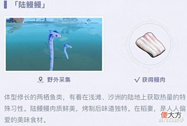 【游戏迷】原神:这才是最难收集的材料,琉璃袋都不算什么,见到就采!