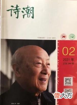诗歌的套改抄袭 诗歌抄袭者