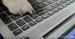 上网课选什么电脑 上网课一般用什么电脑