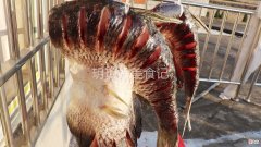 教你正宗腌腊鱼的方法 腌腊鱼的步骤