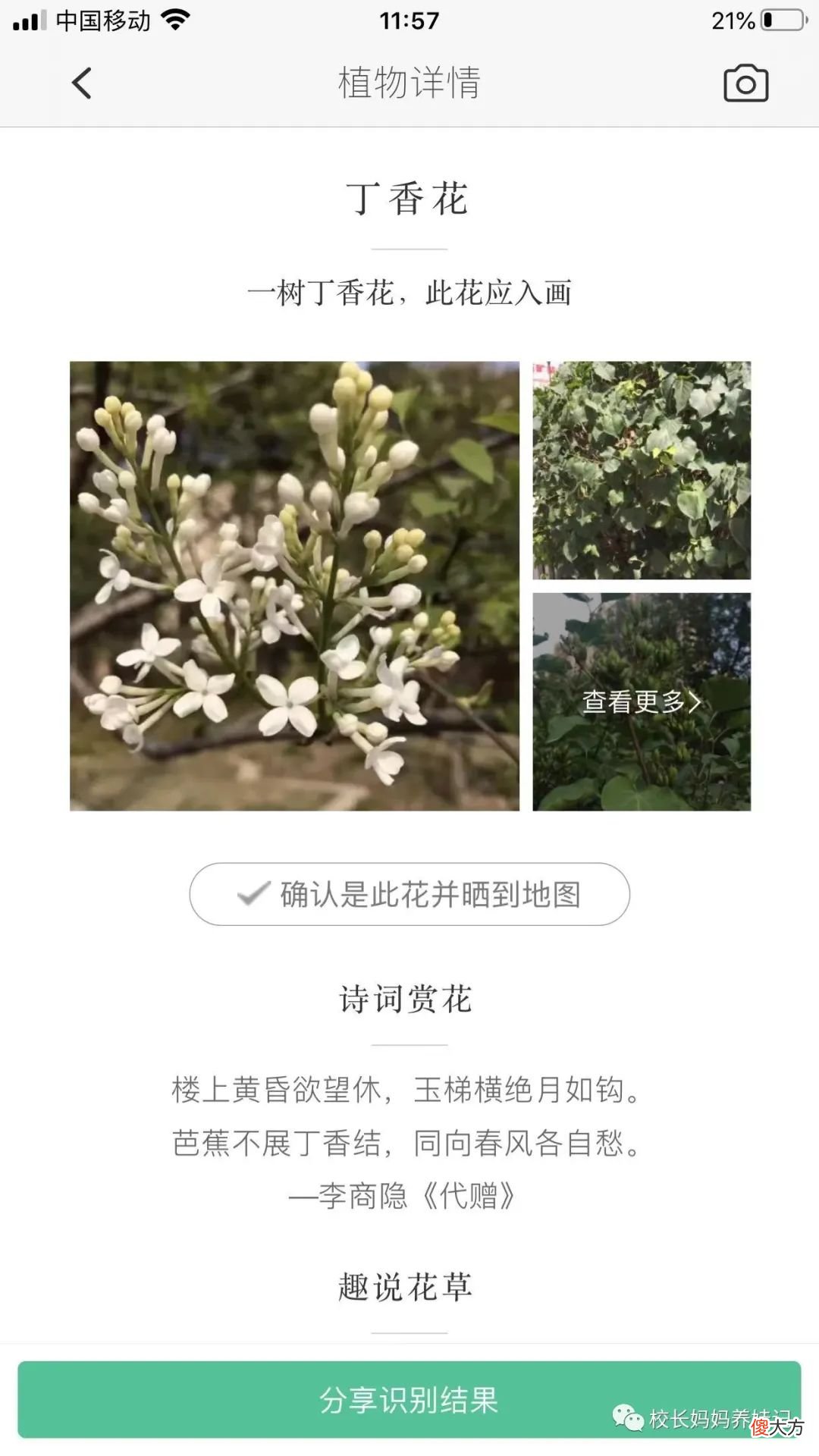 这6个识字游戏 识字小游戏