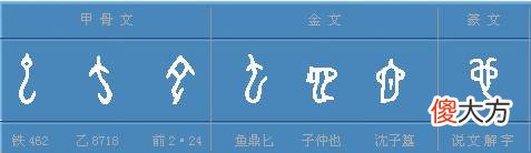 这个字的本义原来是蛇 蛇的字义是什么