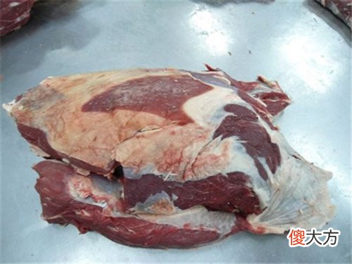 牛肉最嫩的部位是哪儿 牛肉最嫩的是什么部位