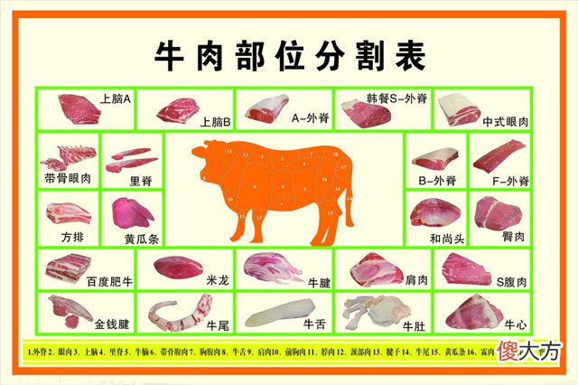 牛肉最嫩的部位是哪儿 牛肉最嫩的是什么部位
