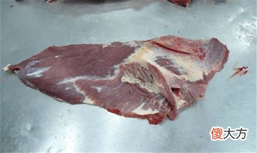 牛肉最嫩的部位是哪儿 牛肉最嫩的是什么部位