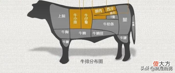 上脑牛排和牛脑有什么关系 上脑牛排是牛的哪个部位