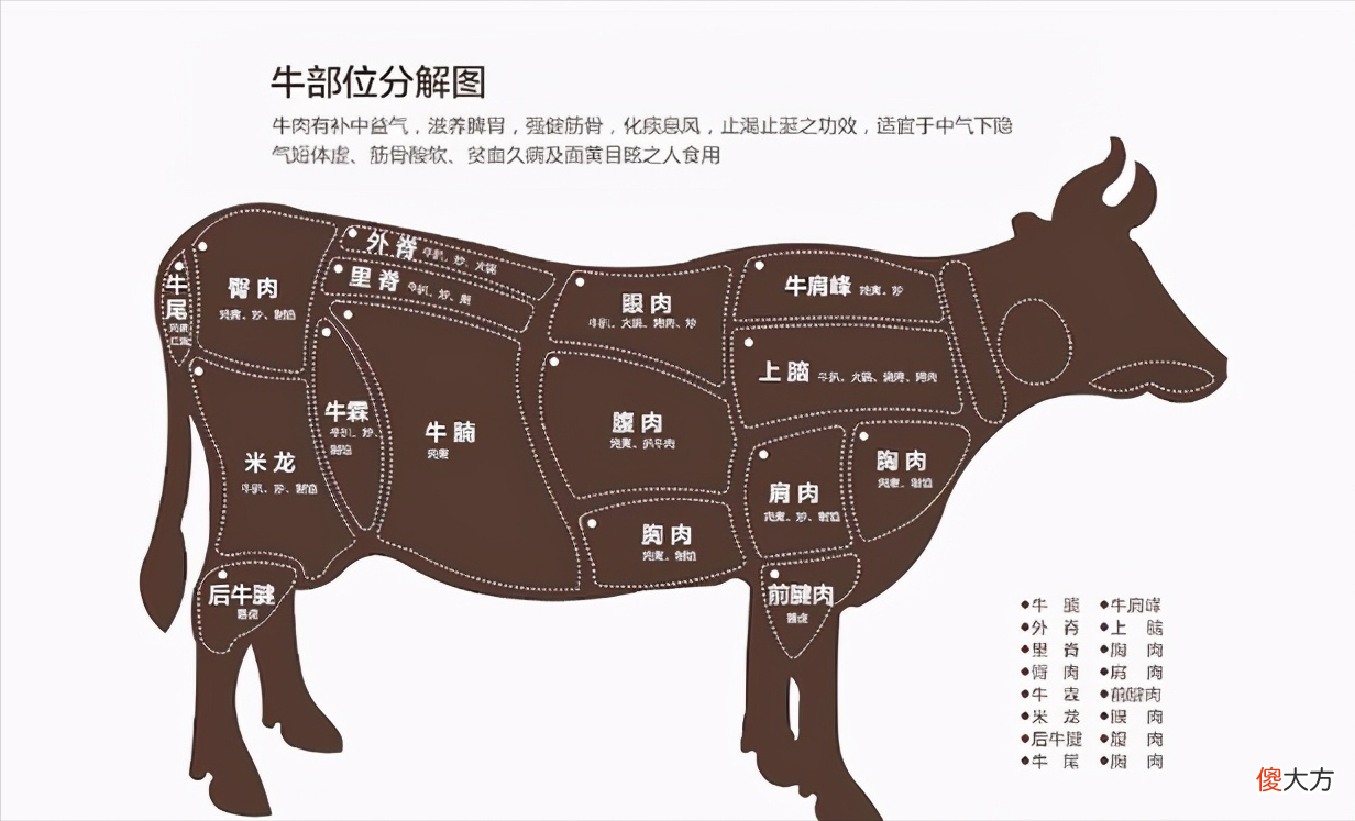 牛肉哪个部位细嫩好吃 牛肉哪个部位好吃比较嫩