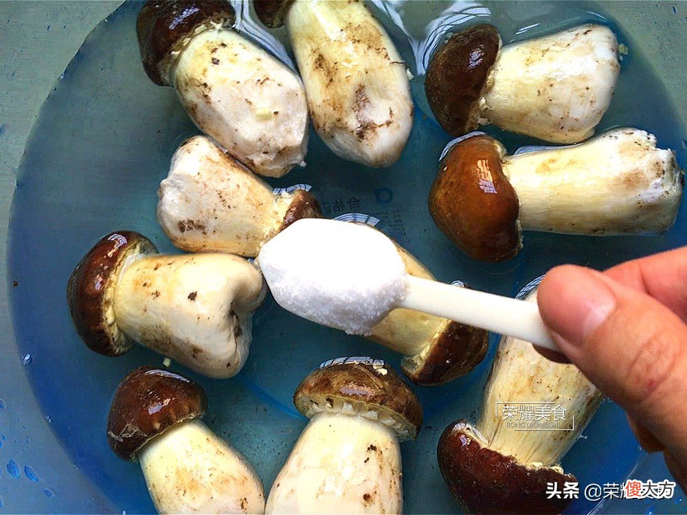 春季是吃食用菌的好时节，新鲜姬松茸是广式滋补汤的好材料，真棒