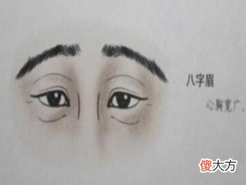 男人从眉毛看面相有何说法