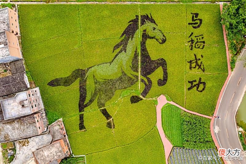 【历史故事】广东十大衰退城市，第四名：罗定
