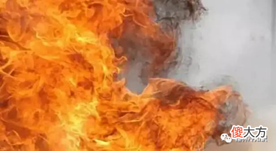 【历史故事】聊点不一样的：明朝大爷朱元璋，当老大的那些年的那些大火