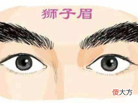 男人面相眉毛长是福还是祸