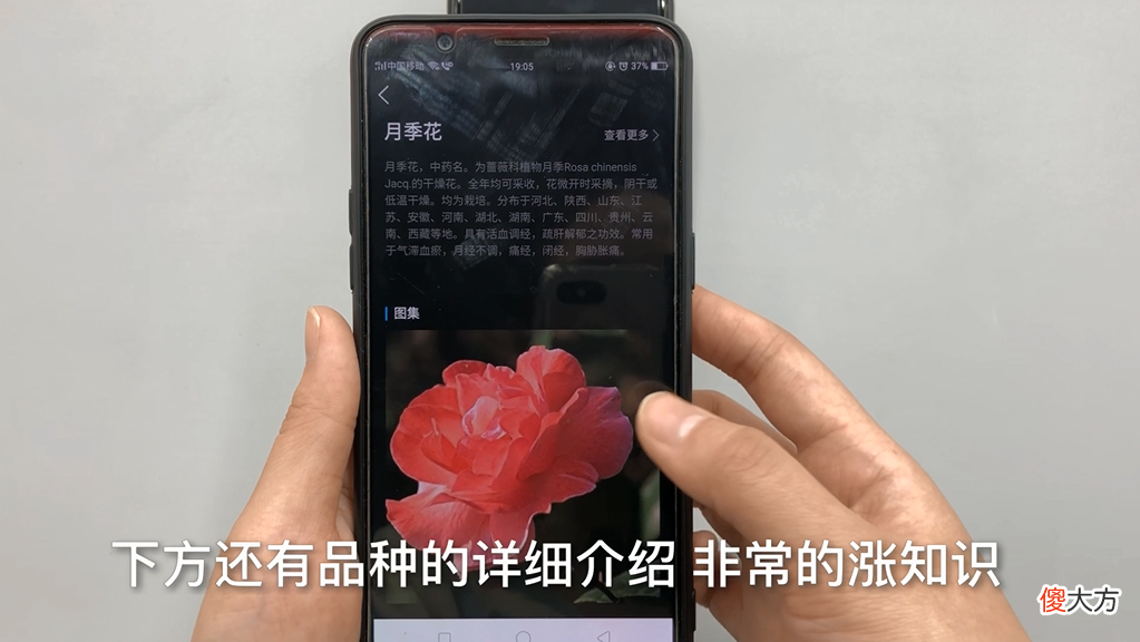几秒钟就能把纸上的文字转换到手机里 怎么把纸上的文字转换成手机里的字
