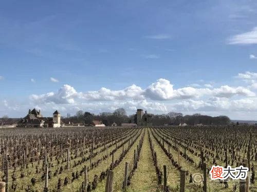 商务送礼选什么葡萄酒 过年葡萄酒推荐