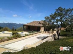 法国波尔多干红葡萄酒加盟 法国葡萄酒加盟费用