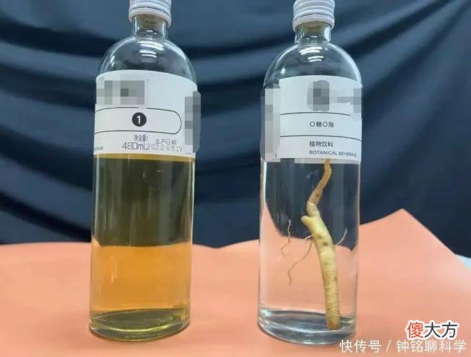 【就爱时尚】同样是人参，30克野人参300万元，为什么园参批发价2元一根？