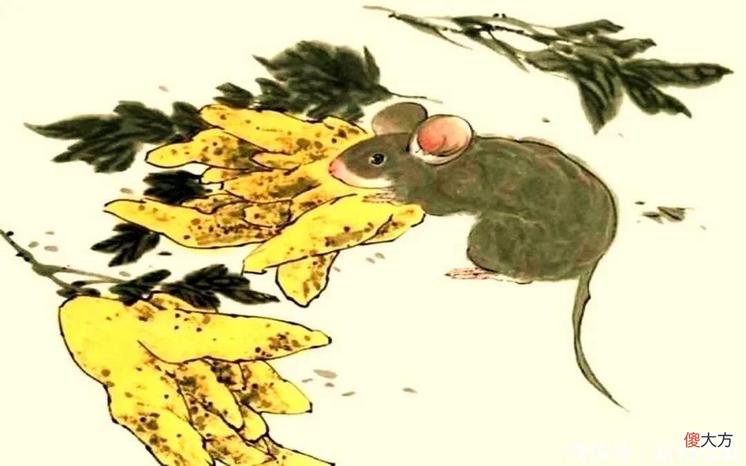 【十二星座】6月底厚积薄发,翻身在即,付出有回报,一路财源茂盛的三个生肖