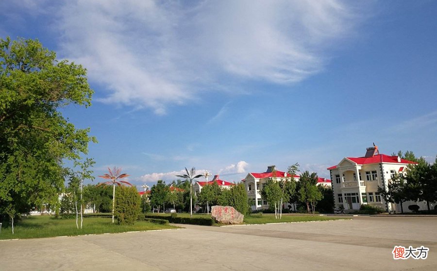 是向日葵之乡 向日葵之乡在哪里