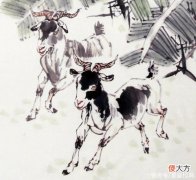 【十二星座】12生肖中的谁，不是吃苦命，享福能长久，遇到的贵人数不胜数