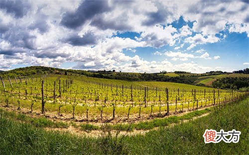 红酒酒庄投资技巧 红酒名酒庄