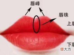 解读下嘴唇厚的女性面相好不好