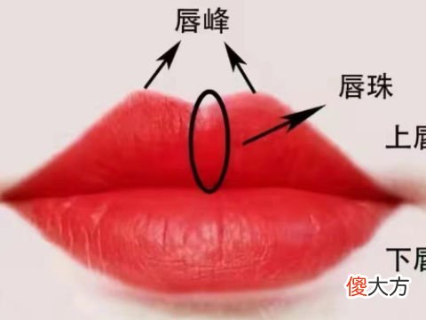 解读下嘴唇厚的女性面相好不好