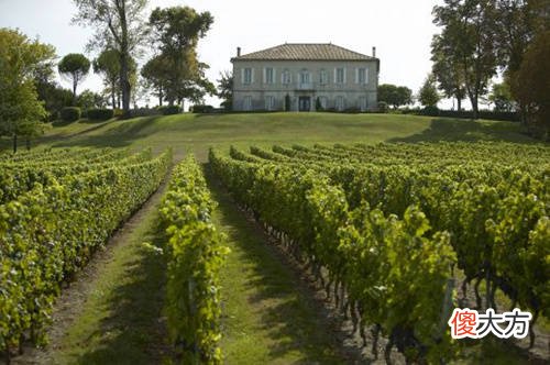 原装红酒代理生意好做吗 想代理红酒怎么跟上一级谈条件