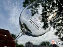 南非开普敦葡萄酒 南非开普山红酒多少钱