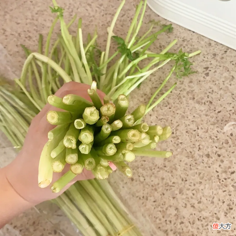 粉芹到底有什么区别 芹菜籽粉与芹菜粉的区别