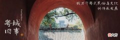 粤城195期：不搬了！64岁的广州动物园，20元门票低调得让人心疼