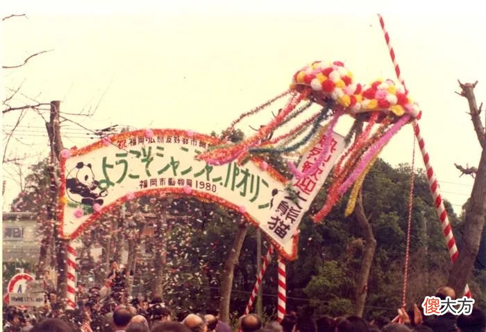 粤城195期：不搬了！64岁的广州动物园，20元门票低调得让人心疼