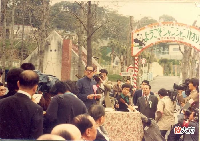 粤城195期：不搬了！64岁的广州动物园，20元门票低调得让人心疼