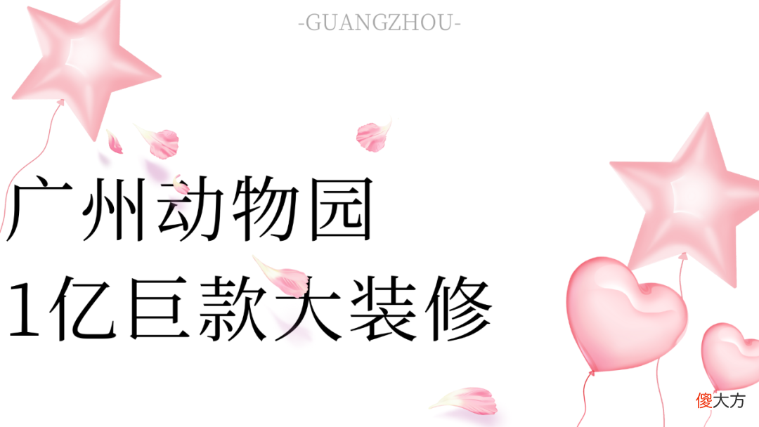 粤城195期：不搬了！64岁的广州动物园，20元门票低调得让人心疼