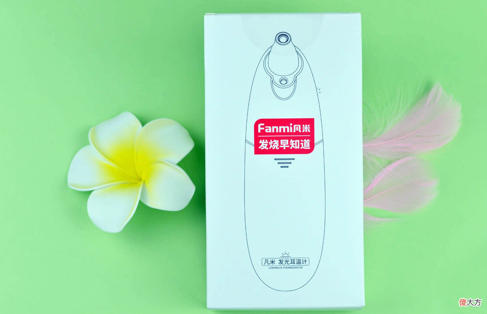 用耳温计有什么困扰 耳温计是什么