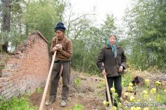 手机号欠费已注销 已经注销的手机号欠费