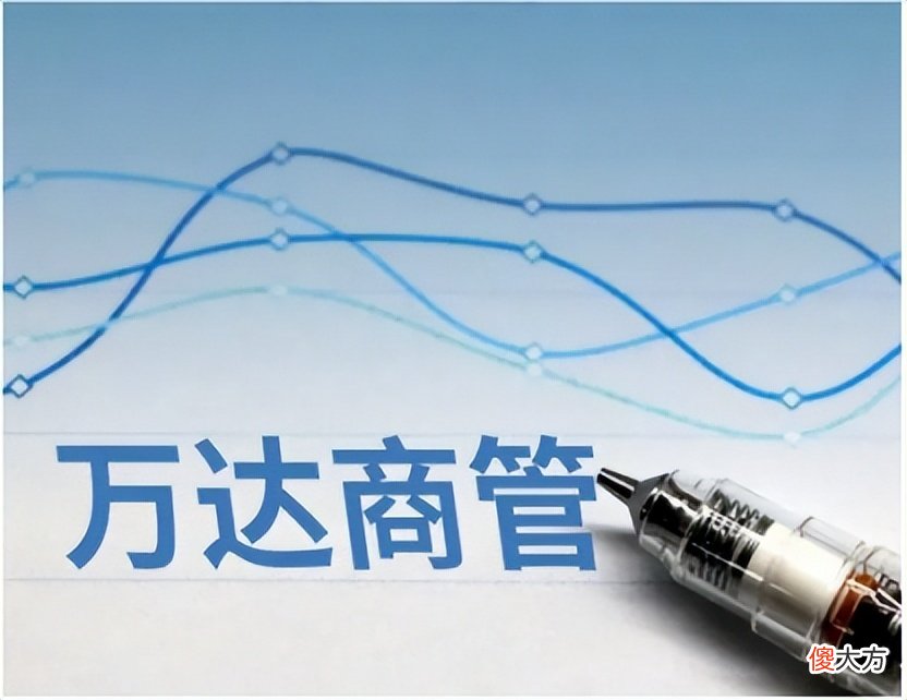 王健林的大格局赋予了万达何种能量 王健林的万达集团是做什么的