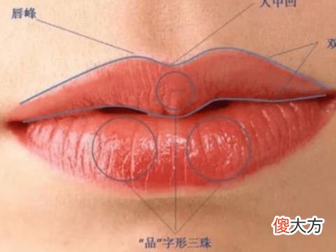 女人嘴巴大面相代表什么