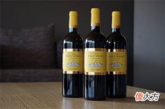 进口红酒代理如何快速上手 天津红酒招商加盟代理