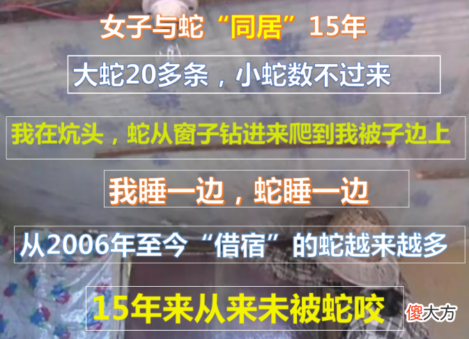 女子与蛇同居15年 黑龙江女子与蛇同居15年