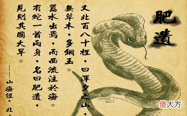 蛇不仅能增长杨过的内力 杨过蛇胆内力