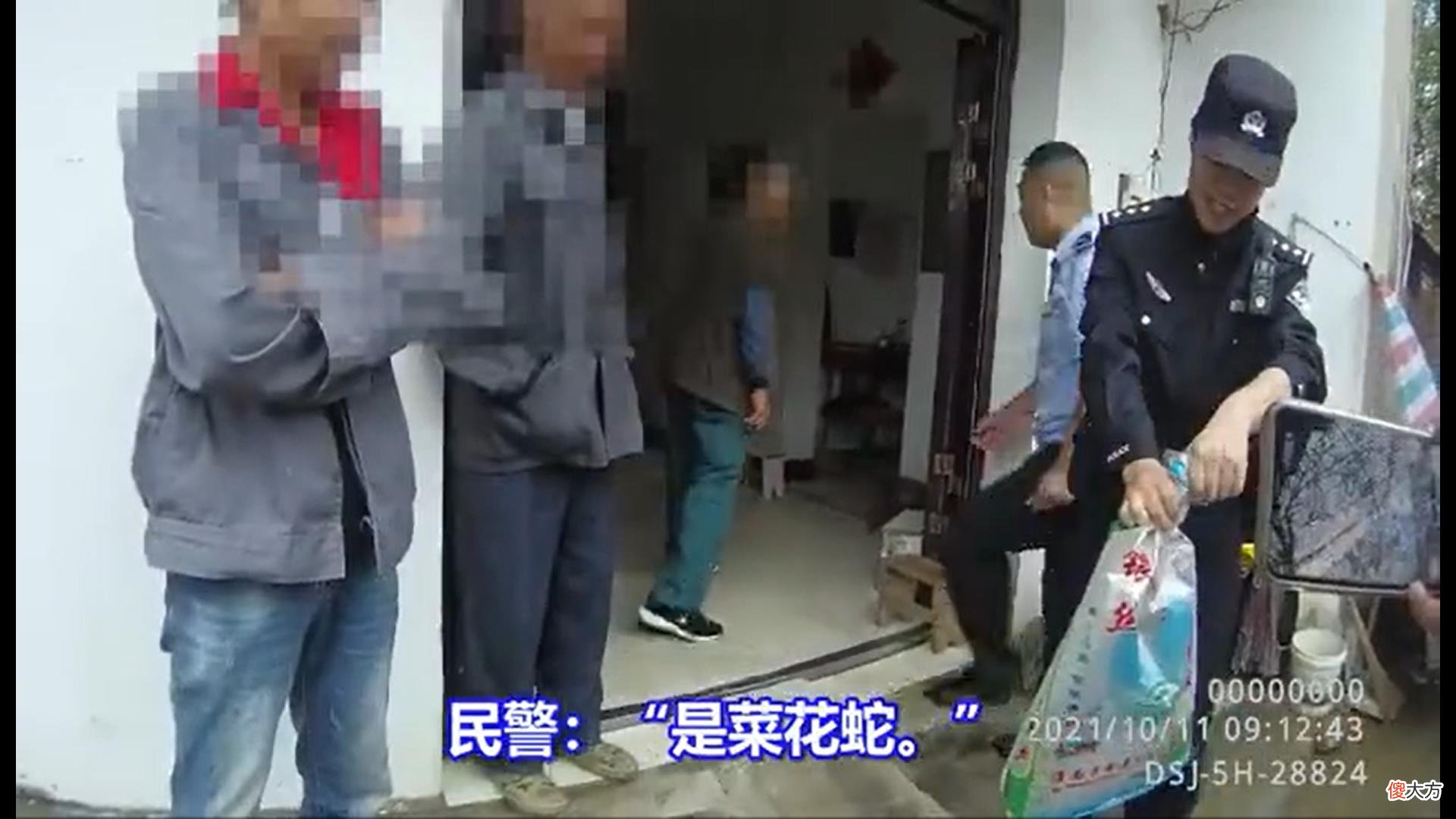 安徽大蛇跑家中吃老鼠，结果被卡管道动弹不得，为啥秋天还有蛇？