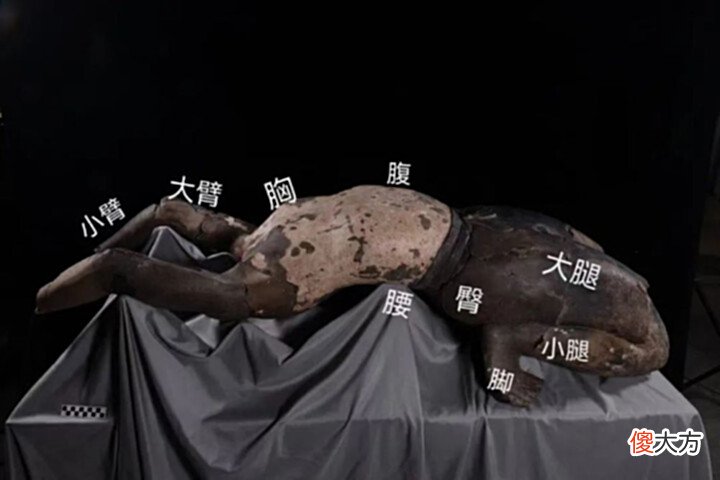 【爱历史】秦始皇帝陵首现罕见的仰卧俑,姿势为何如此痛苦?真是活人做俑?