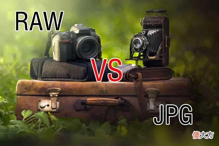 相机保存照片你选RAW还是JPG?这里面大有讲究
