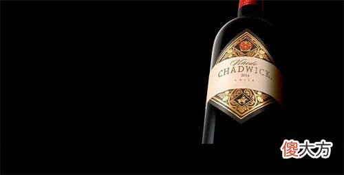 葡萄酒瓶塞都是木塞吗 为什么葡萄酒要用木塞