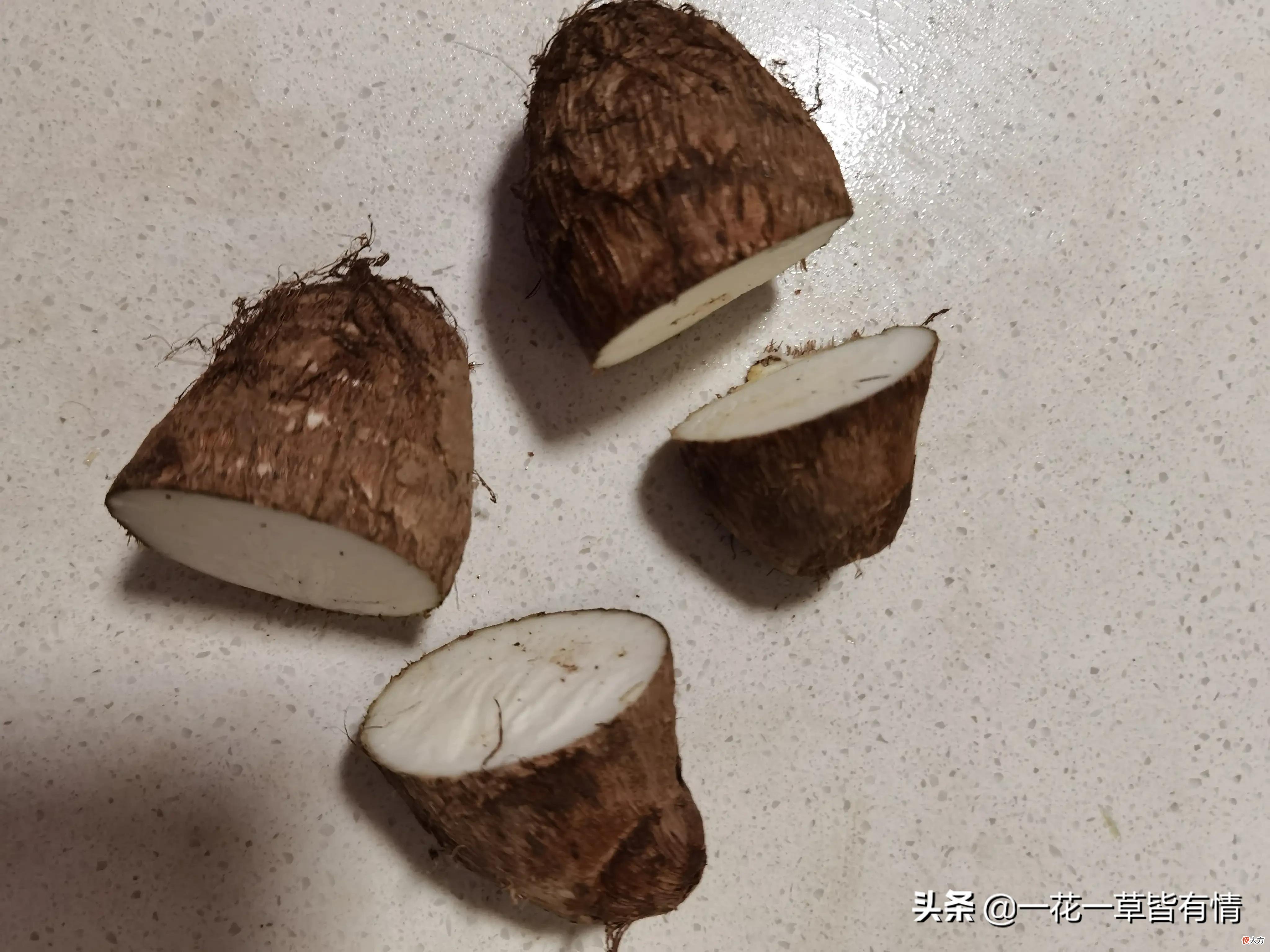又要种芋头了 芋头怎么种出来