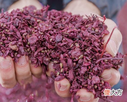 怎样签定红酒总代理合同 红酒做代理有什么痛点