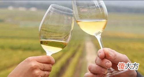 马拉嘉堡干红葡萄酒的旺德行酒业建议