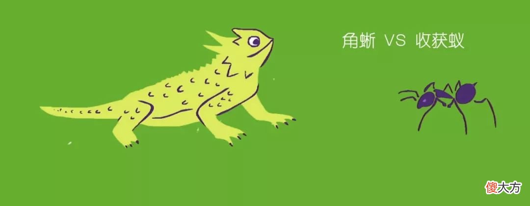 有毒的动物为什么自己不会中毒 有毒的动物为什么自己不中毒阅读
