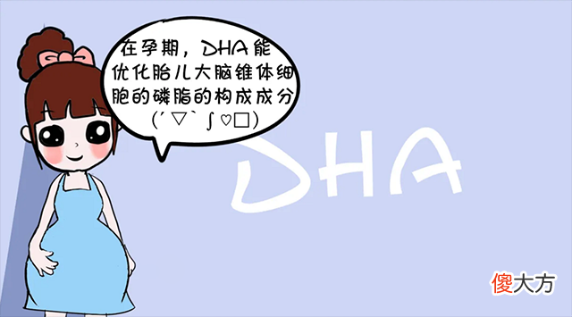 女性怀孕后,补充的DHA到底是什么,4个方面要了解